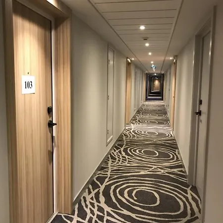 Novotel Centre מלון קולמר