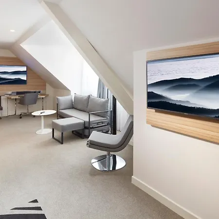 نوفوتيل سويتس سنتر كولمار