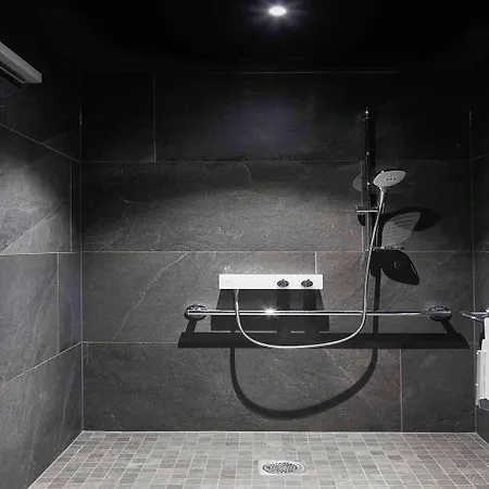 نوفوتيل سويتس سنتر فندق كولمار