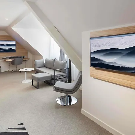 نوفوتيل سويتس سنتر 4*