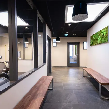 نوفوتيل سويتس سنتر 4* كولمار