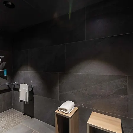 نوفوتيل سويتس سنتر 4* كولمار