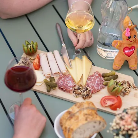 نوفوتيل سويتس سنتر فندق كولمار