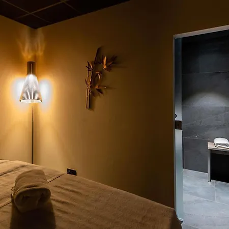 酒店 科尔马中心诺富特酒店 4*