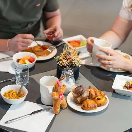 科尔马中心诺富特酒店 4* 科尔马