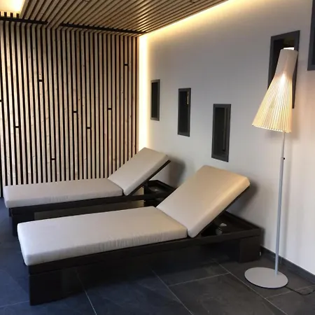 Novotel Centre מלון קולמר