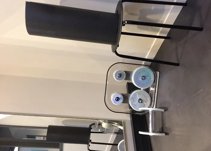 科尔马中心诺富特酒店 酒店 4*