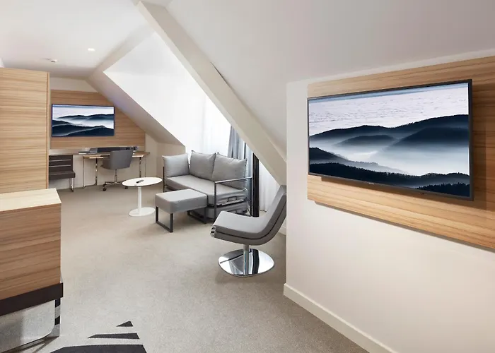 Novotel Centre קולמר