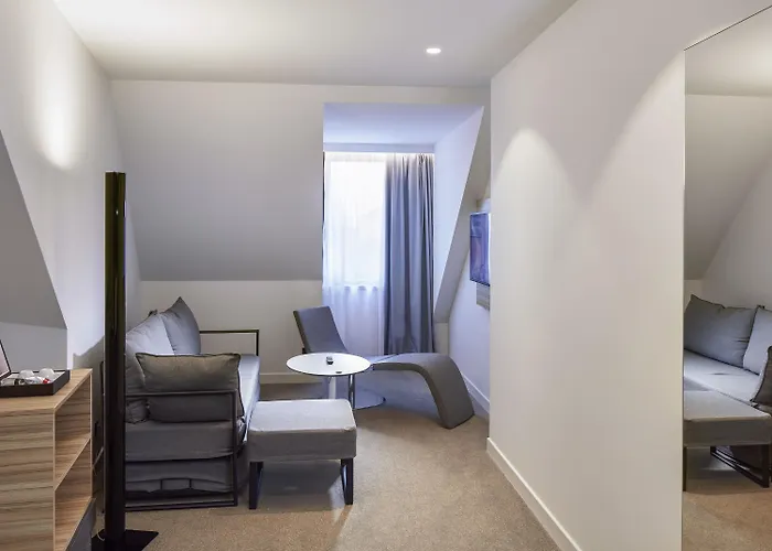 科尔马中心诺富特酒店 酒店 科尔马