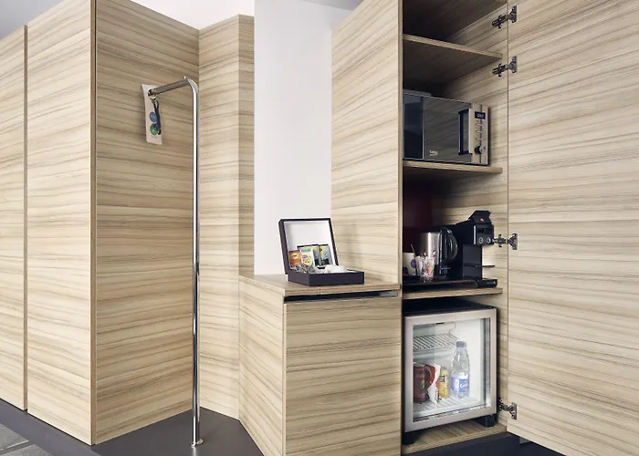 科尔马中心诺富特酒店 科尔马