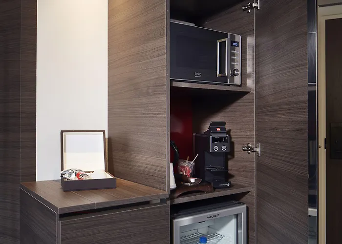 Novotel Centre מלון קולמר