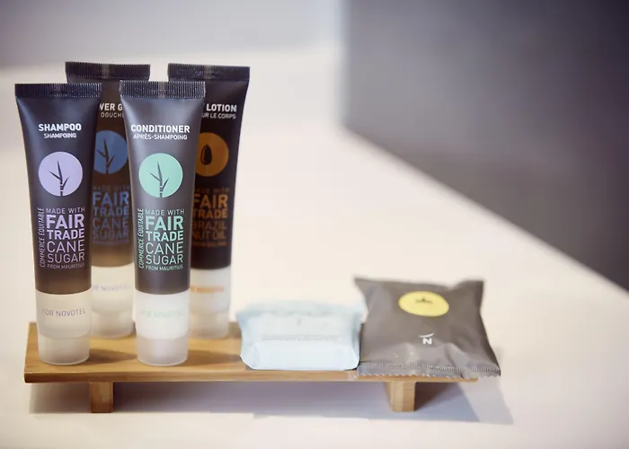 科尔马中心诺富特酒店