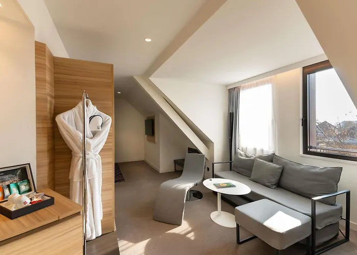 Novotel Centre Colmar