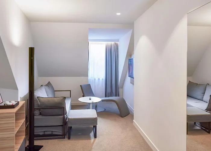 科尔马中心诺富特酒店