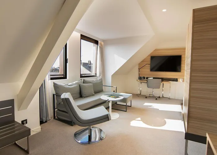 Novotel Centre 4* קולמר