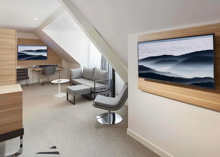 科尔马中心诺富特酒店 4*