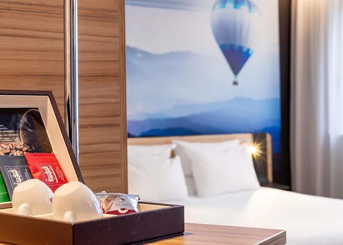 Novotel Centre 4* קולמר