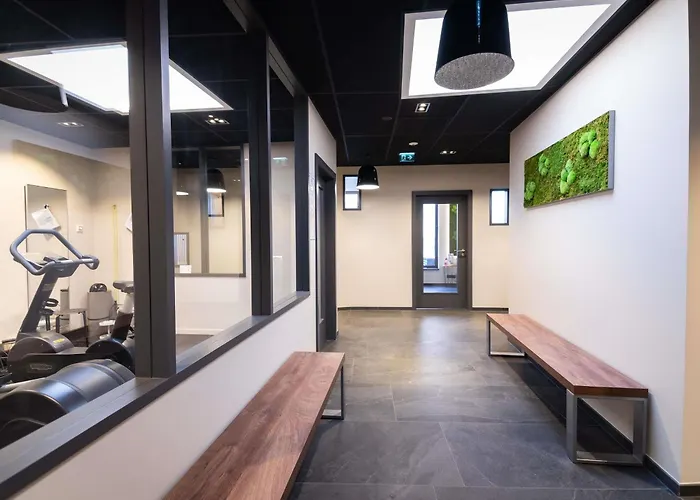 科尔马中心诺富特酒店 4* 科尔马