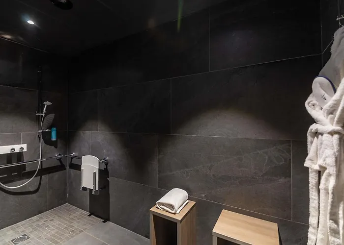 Novotel Centre 4* קולמר