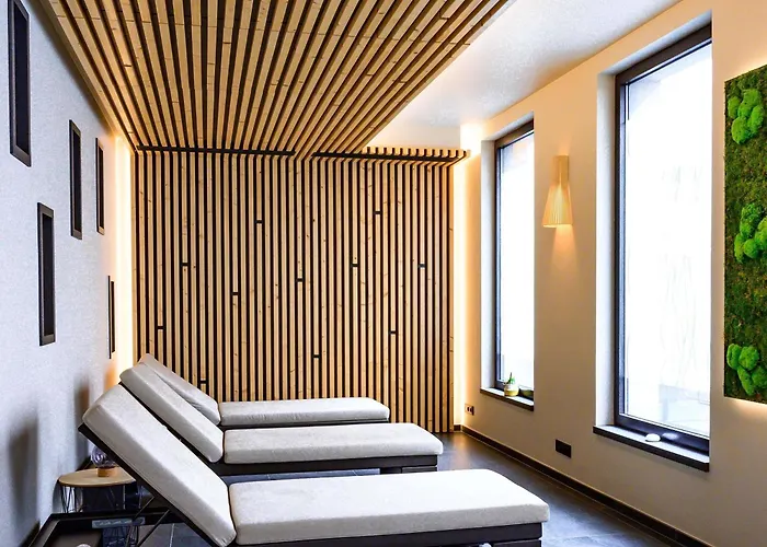 科尔马中心诺富特酒店 酒店