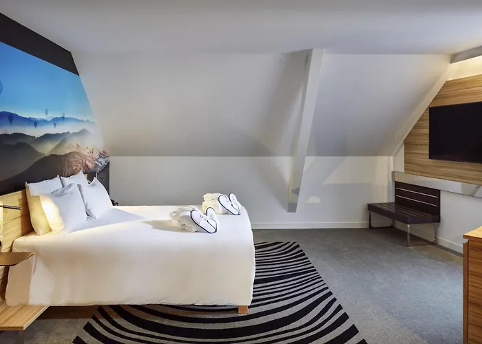 科尔马中心诺富特酒店 4*