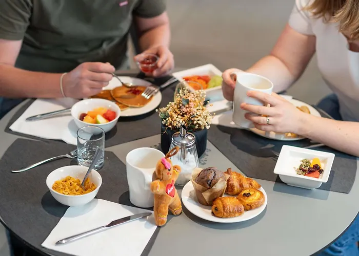 科尔马中心诺富特酒店 4* 科尔马