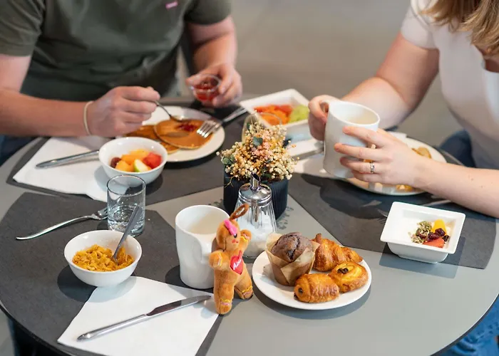 科尔马中心诺富特酒店 酒店